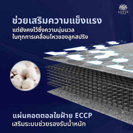 ที่นอนสปริง 5 ฟุต LOTUS PRECISE II PLUS สี WHITE (พร้อมหมอนหนุน 2 ใบ)_11
