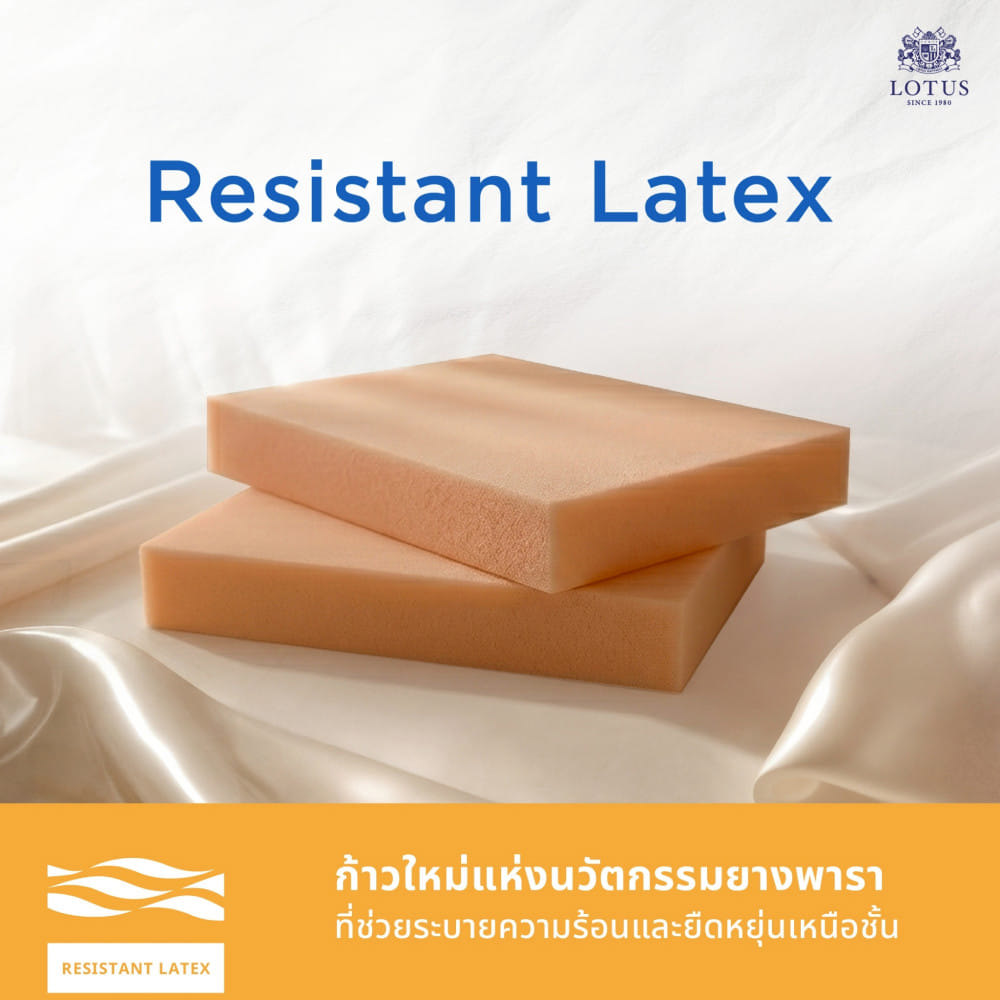 ที่นอนยางพารา 3.5 ฟุต LOTUS VIVA (พร้อมหมอนหนุน 1 ใบ)