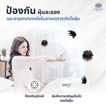 ที่นอนยางพารา 3.5 ฟุต LOTUS VIVA (พร้อมหมอนหนุน 1 ใบ)_4
