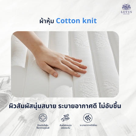 ที่นอนยางพารา 3.5 ฟุต LOTUS VIVA (พร้อมหมอนหนุน 1 ใบ)_5