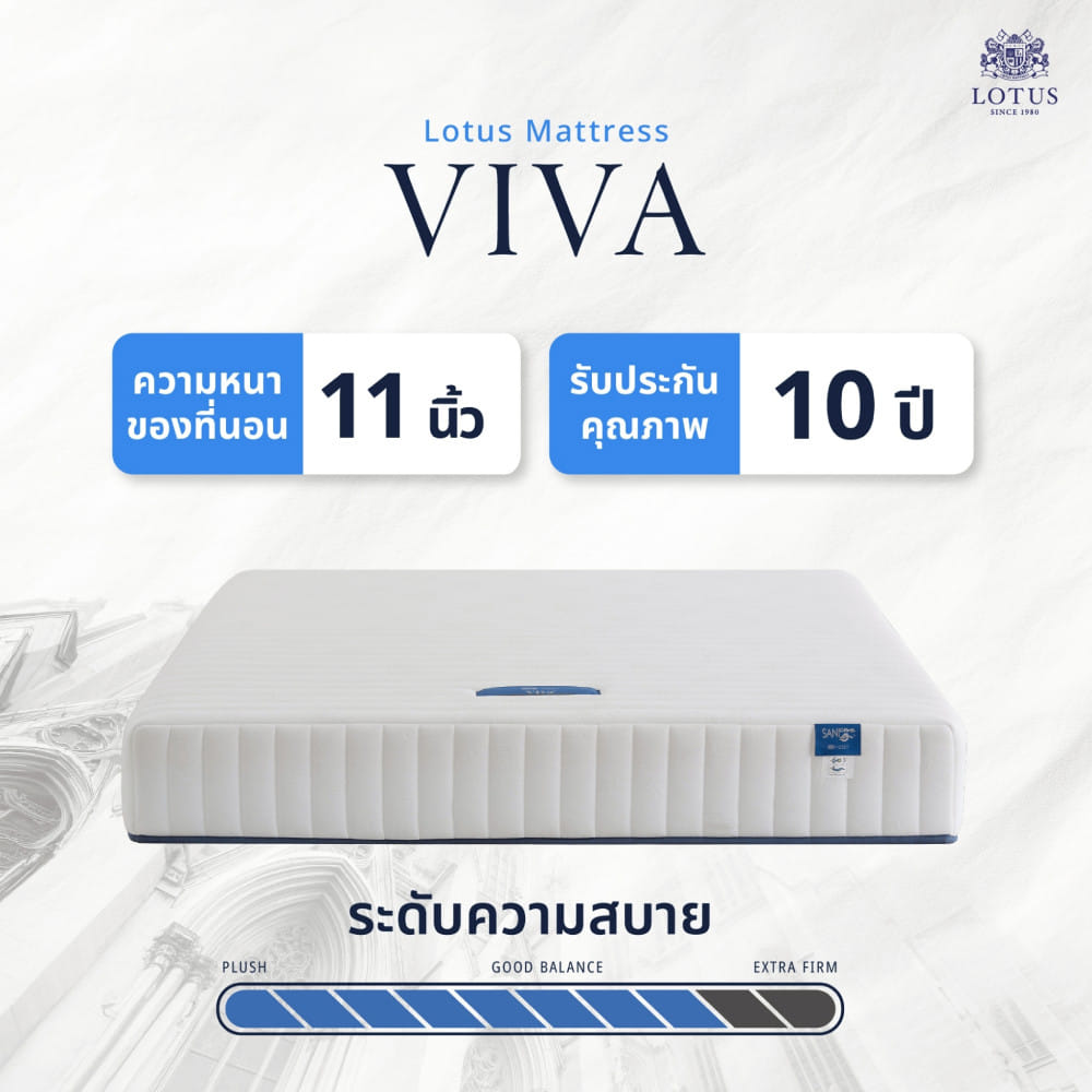ที่นอนยางพารา 5 ฟุต LOTUS VIVA (พร้อมหมอนหนุน 2 ใบ)