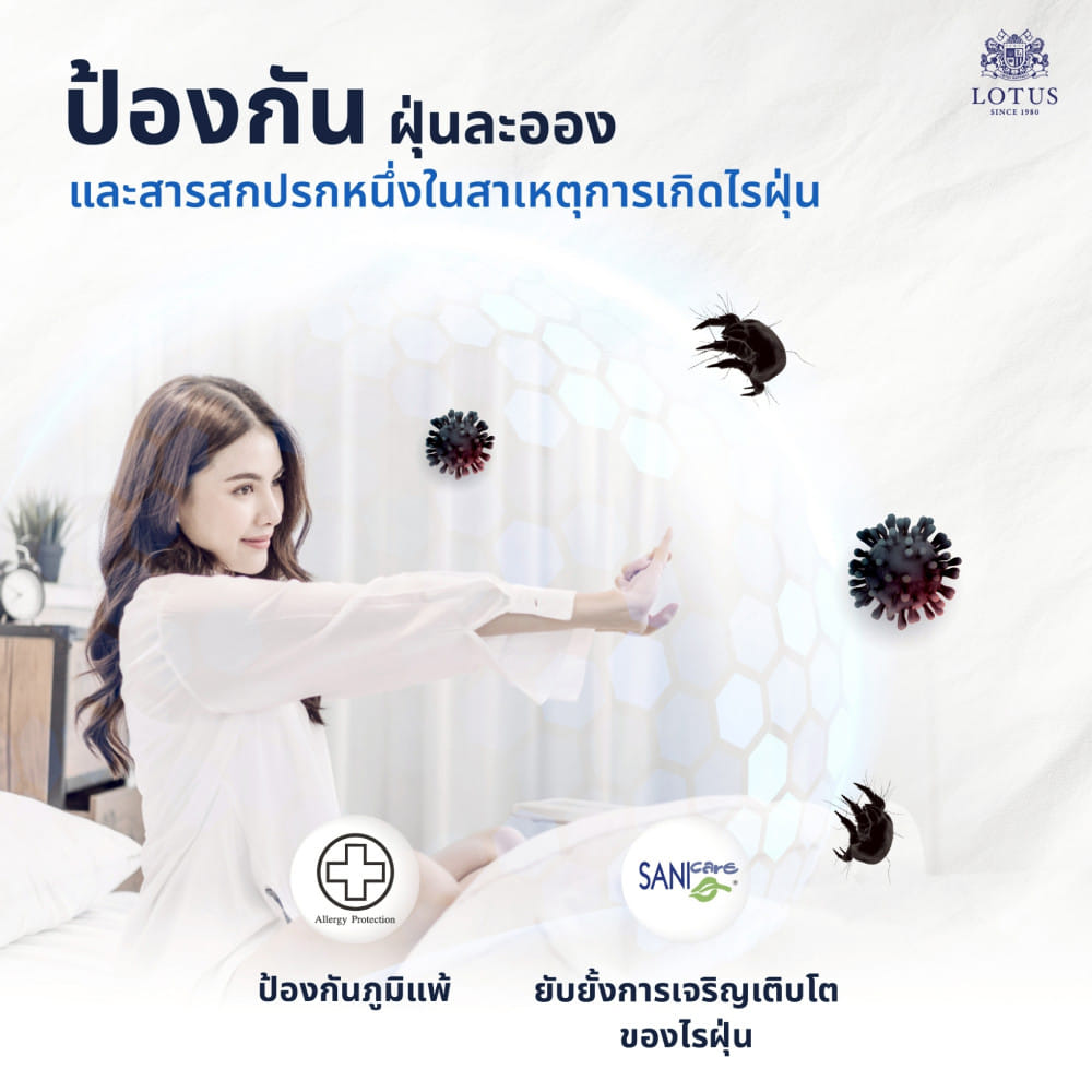 ที่นอนยางพารา 5 ฟุต LOTUS VIVA (พร้อมหมอนหนุน 2 ใบ)