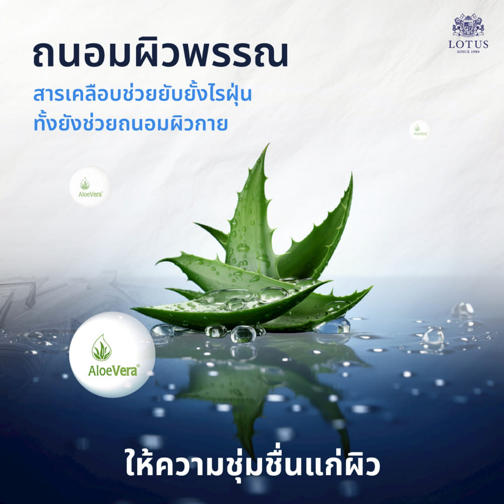 ที่นอนยางพารา 5 ฟุต LOTUS VIVA (พร้อมหมอนหนุน 2 ใบ)