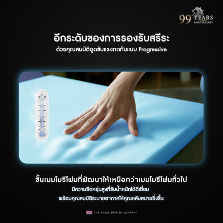 ที่นอนพ็อกเก็ตสปริง 5 ฟุต DUNLOPILLO SOVEREIGN (พร้อมชุดเครื่องนอน 11 ชิ้น)_11