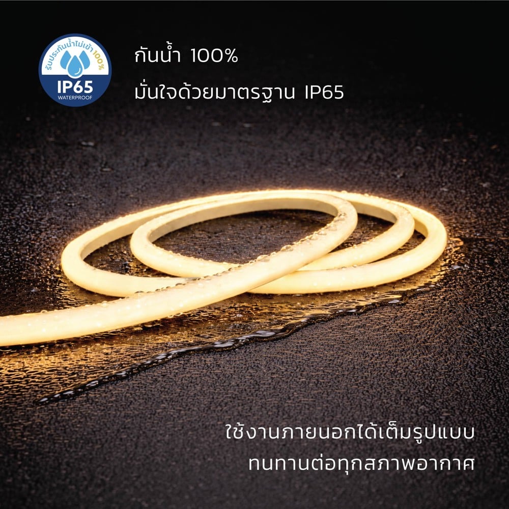 ไฟเส้น LED LAMPTAN STRIPFLEX DIFFUSE 13 วัตต์/เมตร WARM WHITE 50 เมตร