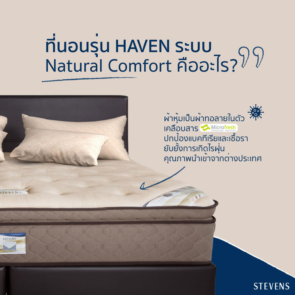 ที่นอนสปริง 6 ฟุต STEVENS HAVEN