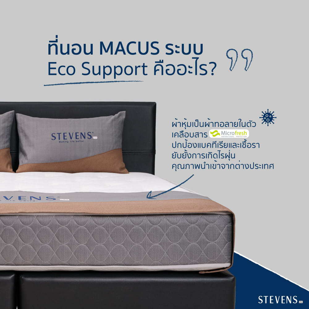 ที่นอนสปริง 6 ฟุต STEVENS MACUS