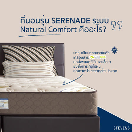 ที่นอนสปริง 6 ฟุต STEVENS SERENADE_6