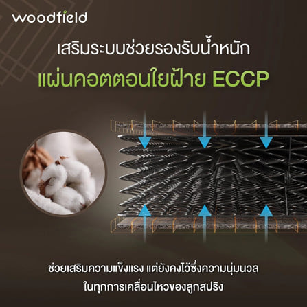 ที่นอนสปริง  6  ฟุต WOODFIELD W-5900 (พร้อมหมอนหนุน 2 ใบ)_6