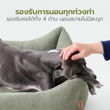 เบาะรองนั่ง TIANYUAN PET SRW0513BG-M สีขาว_5