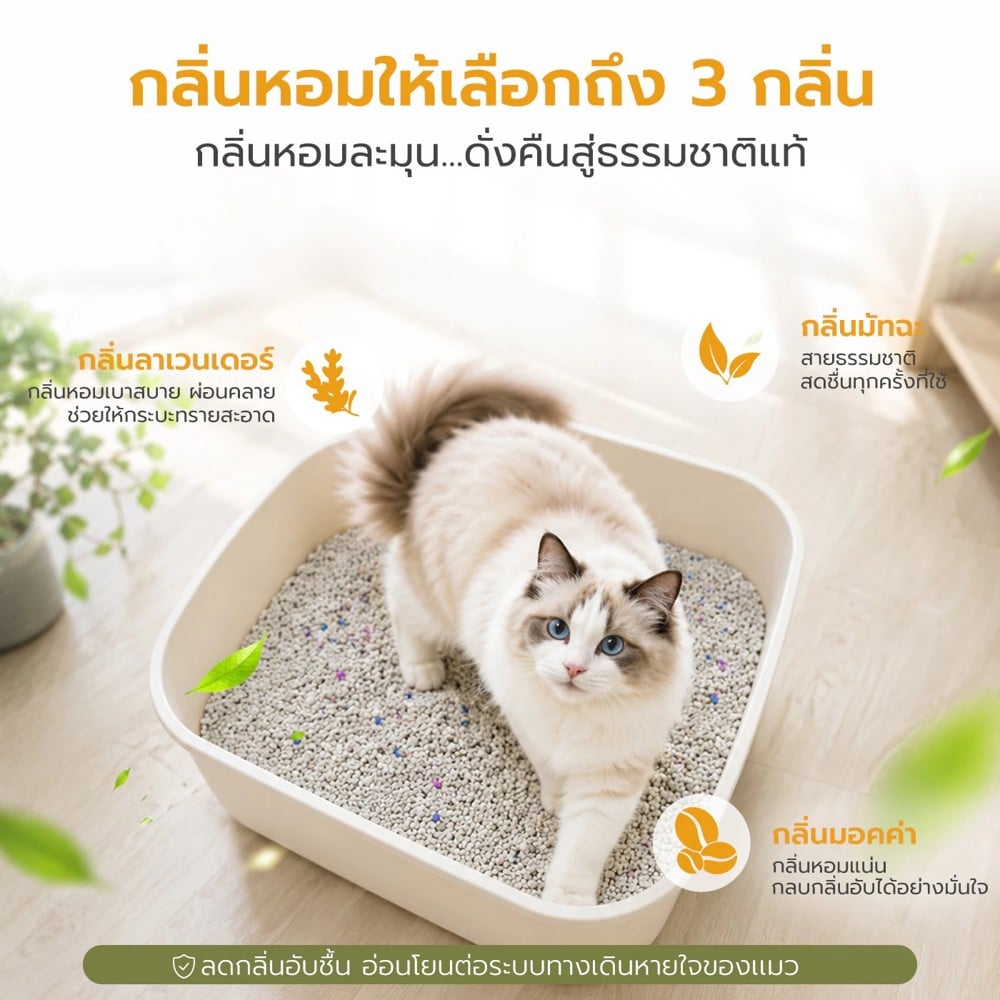 ทรายแมวเบนโทไนท์ PETUS สูตรถนอมอุ้งเท้าแมว กลิ่นลาเวนเดอร์ 5 ลิตร