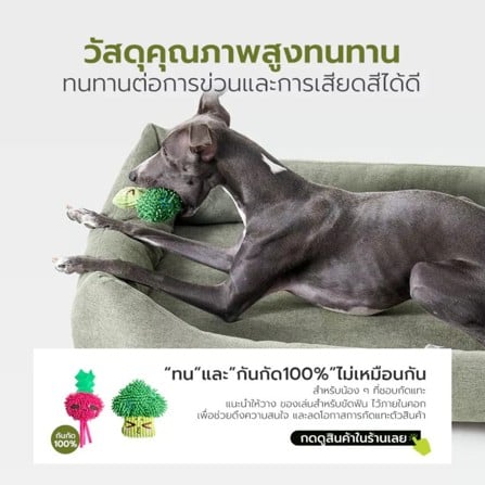 เบาะรองนั่ง TIANYUAN PET SRW0513GN-L สีเขียว_6