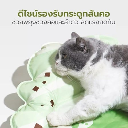 แผ่นเจลเย็น TIANYUAN PET คัลเลอร์ฟูล_4