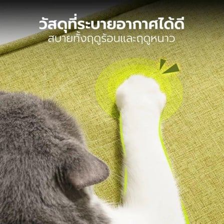 เบาะรองนั่ง TIANYUAN PET SRW0476VT-L สีม่วง_6