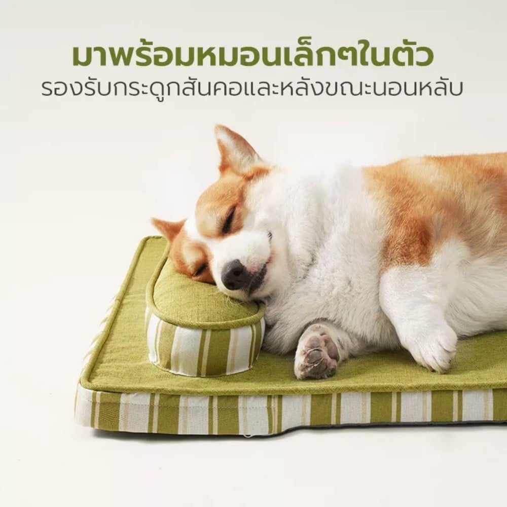 เบาะรองนั่ง TIANYUAN PET SRW0476VT-M สีม่วง