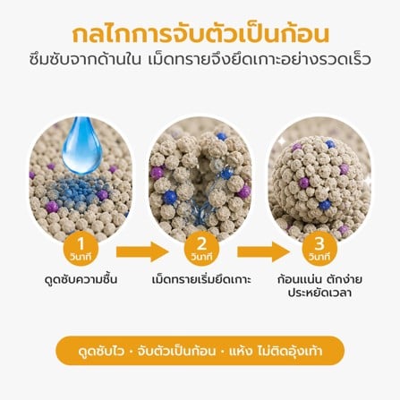 ทรายแมวเบนโทไนท์ PETUS สูตรถนอมอุ้งเท้าแมว กลิ่นมัทฉะ 5 ลิตร_2