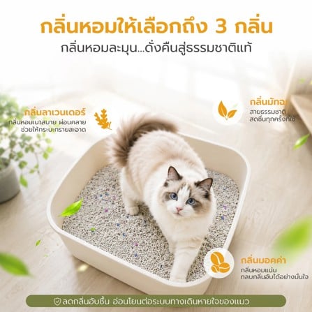 ทรายแมวเบนโทไนท์ PETUS สูตรถนอมอุ้งเท้าแมว กลิ่นมัทฉะ 5 ลิตร_3