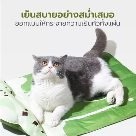 แผ่นเจลเย็น TIANYUAN PET สีเขียว_3