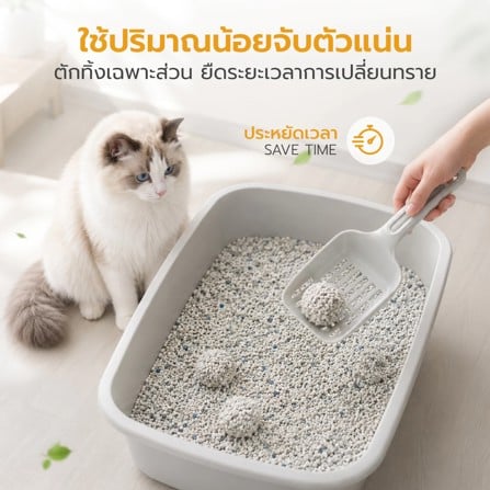 ทรายแมวผสมมันสำปะหลัง PETUS 2.5 กก._5