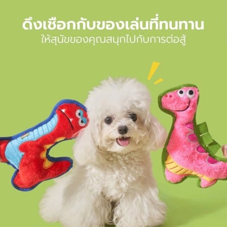 ของเล่นสุนัข TIANYUAN PET STR0493 สีเขียว_6