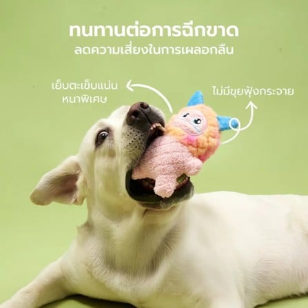 ของเล่นสุนัข TIANYUAN PET STR0479PK สีชมพู_5