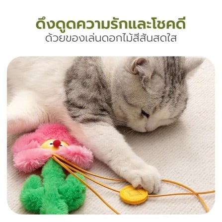 ไม้ล่อแมว TIANYUAN PET STZ0381 แพนด้า_8