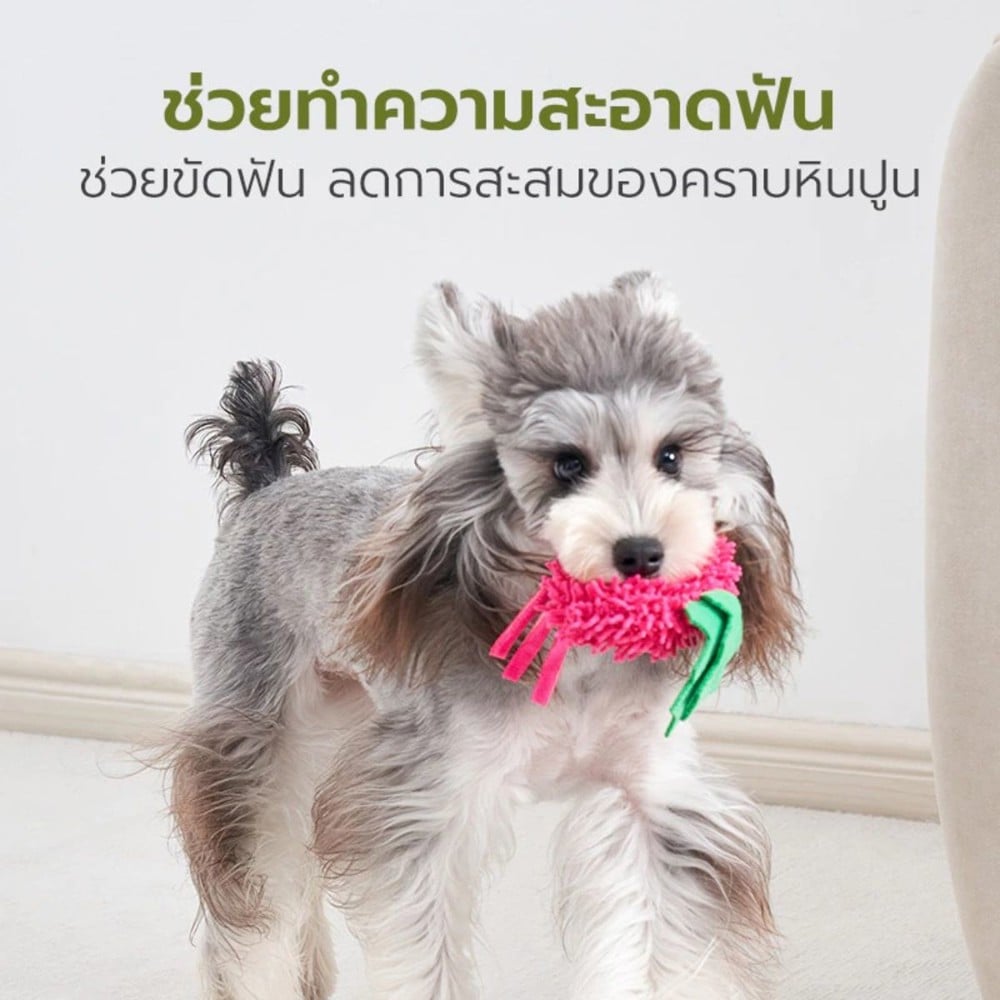 ของเล่นสุนัข TIANYUAN PET STR0418 คอมโบผัก