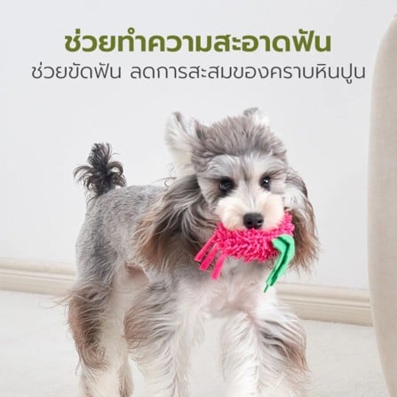 ของเล่นสุนัข TIANYUAN PET STR0418 คอมโบผัก_4