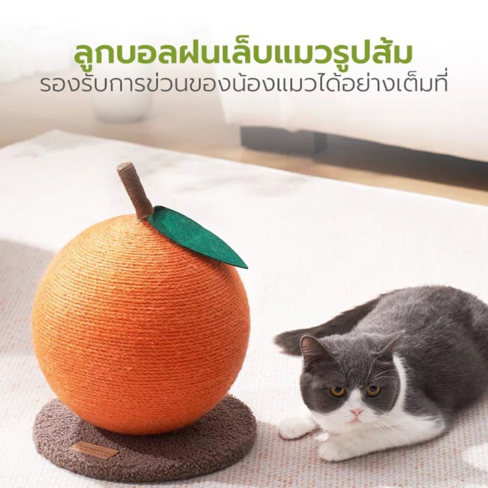 ที่ลับเล็บแมว TIANYUAN PET STA0170 สีส้ม