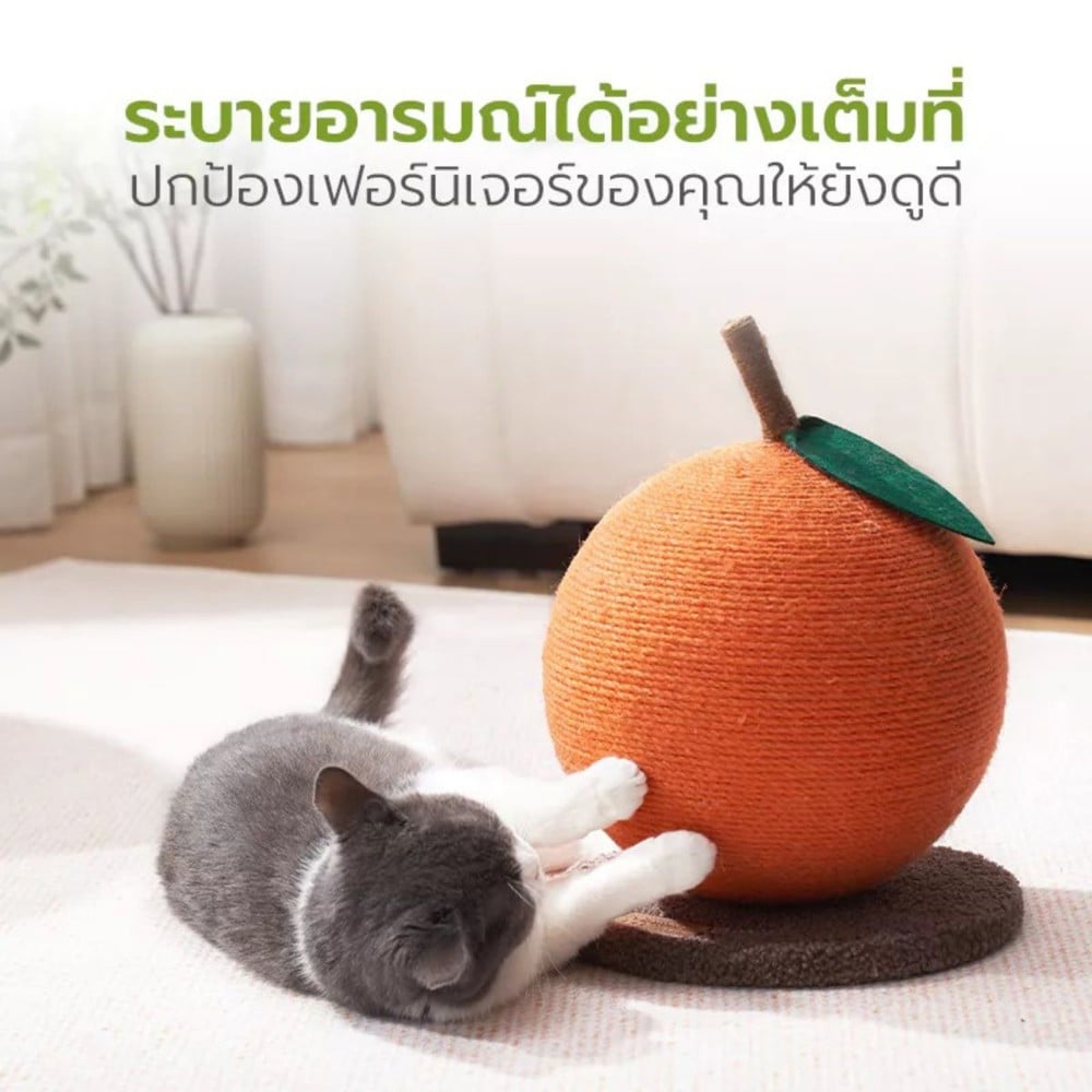 ที่ลับเล็บแมว TIANYUAN PET STA0170 สีส้ม
