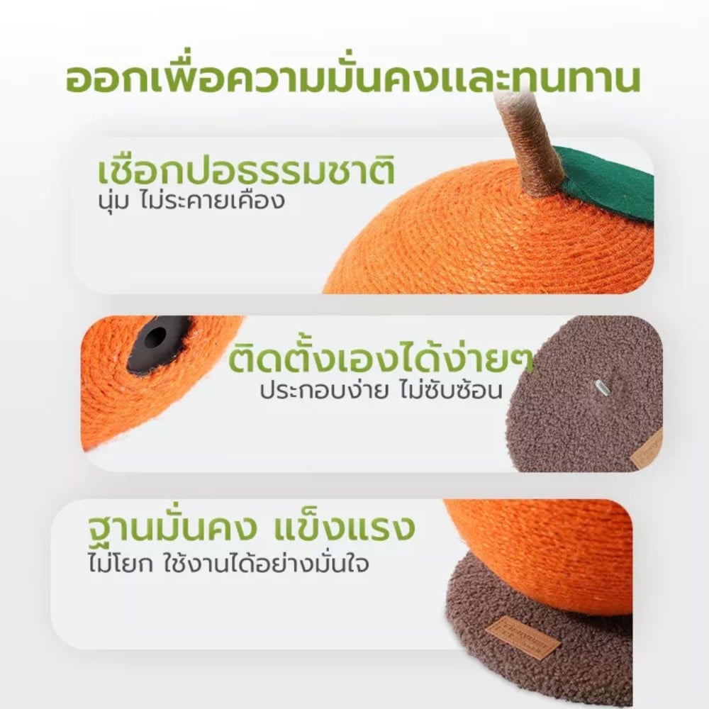 ที่ลับเล็บแมว TIANYUAN PET STA0170 สีส้ม