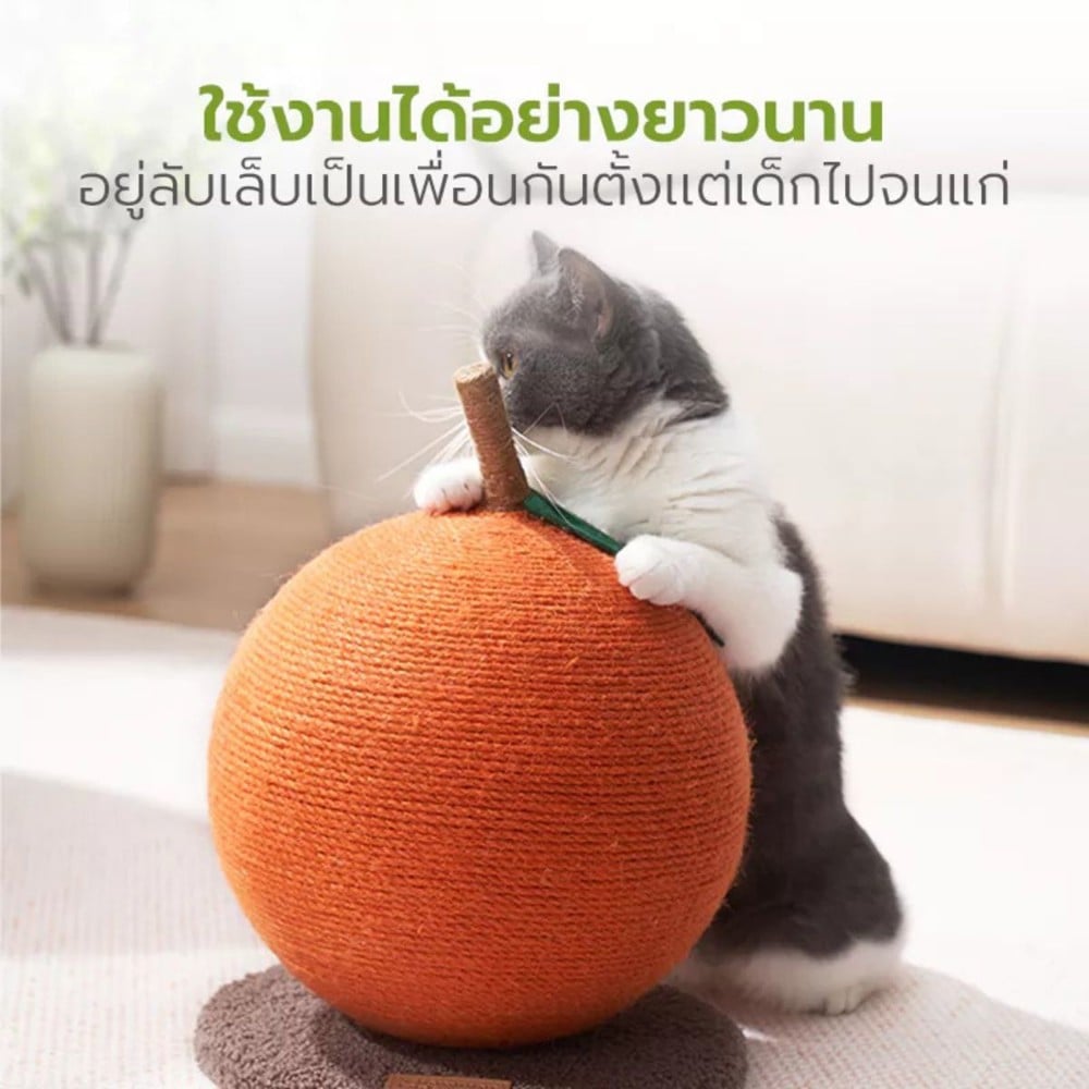 ที่ลับเล็บแมว TIANYUAN PET STA0170 สีส้ม