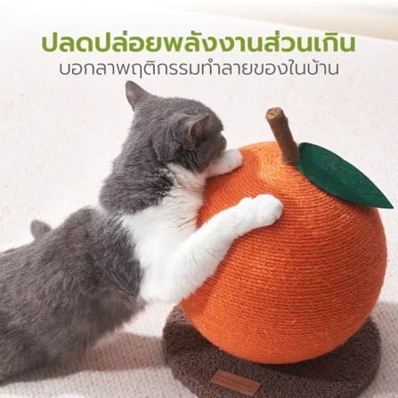 ที่ลับเล็บแมว TIANYUAN PET STA0170 สีส้ม_4