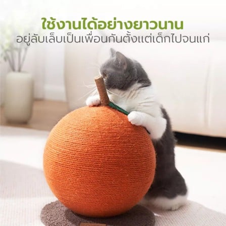 ที่ลับเล็บแมว TIANYUAN PET STA0170 สีส้ม_5