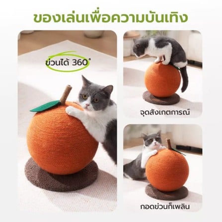 ที่ลับเล็บแมว TIANYUAN PET STA0170 สีส้ม_7