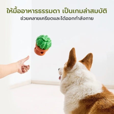 ของเล่นสุนัข TIANYUAN PET STR0426 สีเหลือง_6