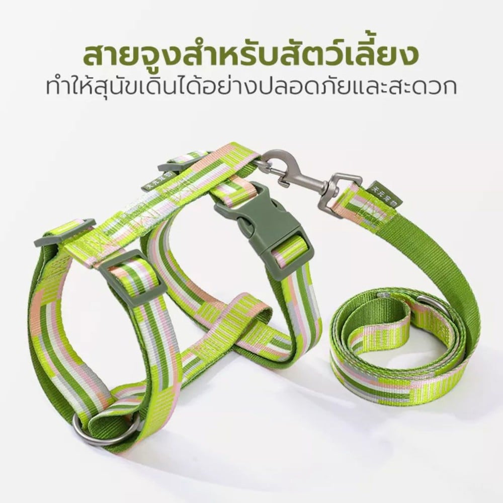 สายจูง TIANYUAN PET SRY0062 -XL สีเขียว