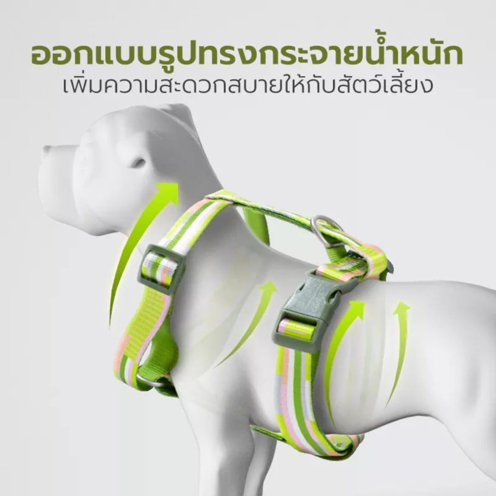 สายจูง TIANYUAN PET SRY0062 -XL สีเขียว