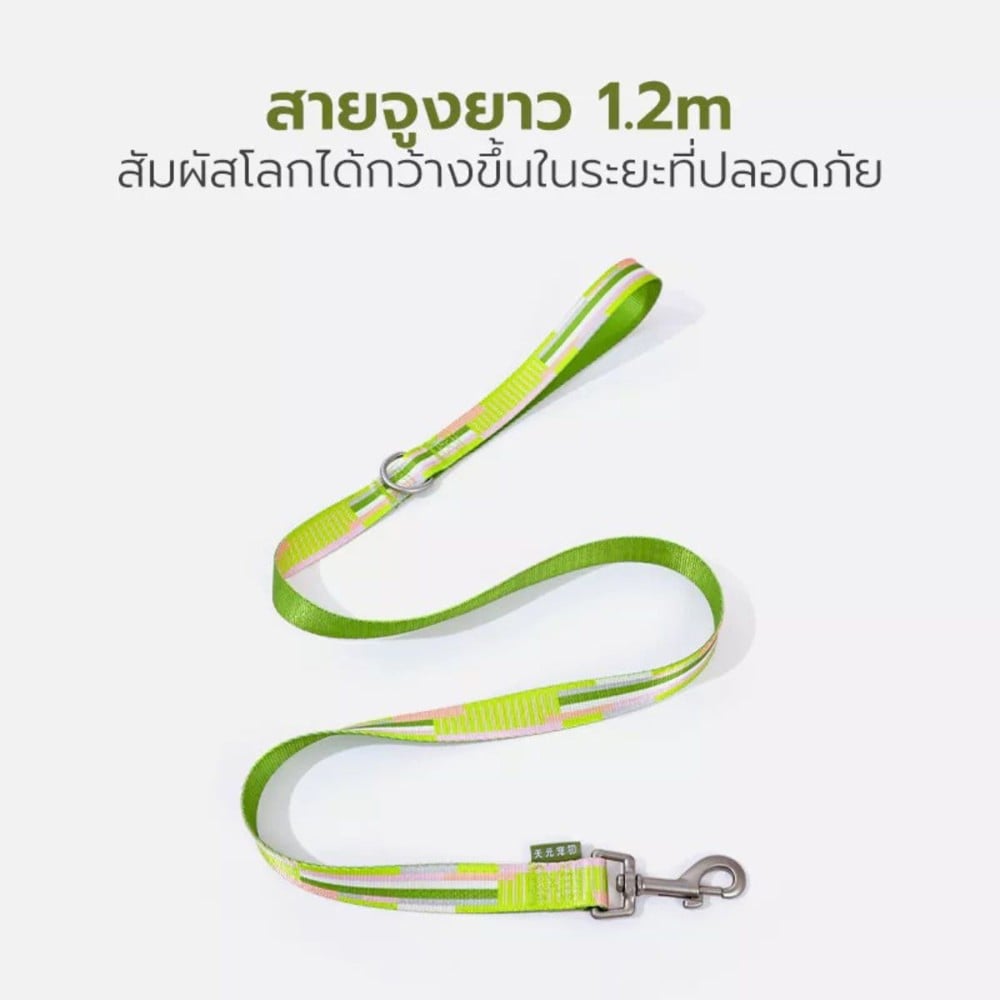 สายจูง TIANYUAN PET SRY0062 -XL สีเขียว
