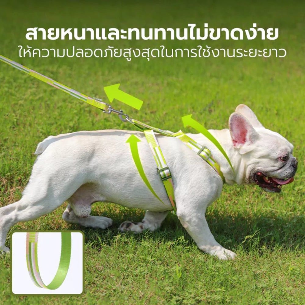 สายจูง TIANYUAN PET SRY0062 -XL สีเขียว