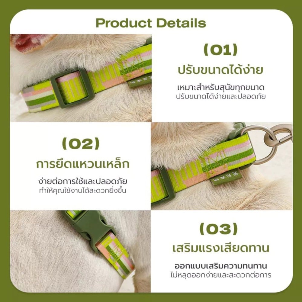 สายจูง TIANYUAN PET SRY0062 -XL สีเขียว