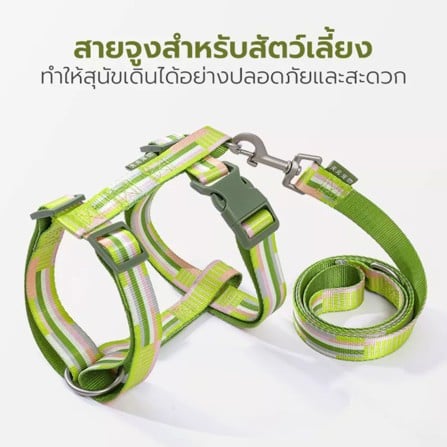 สายจูง TIANYUAN PET SRY0062 -XL สีเขียว_2