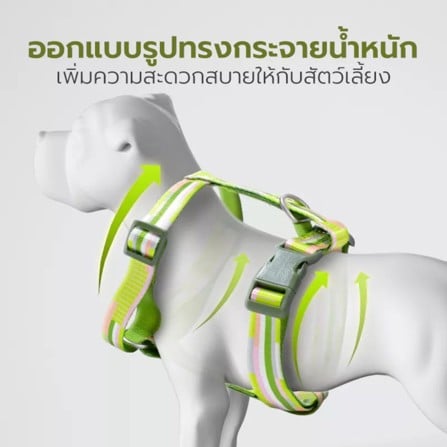 สายจูง TIANYUAN PET SRY0062 -XL สีเขียว_3