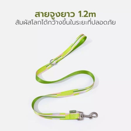 สายจูง TIANYUAN PET SRY0062 -XL สีเขียว_5