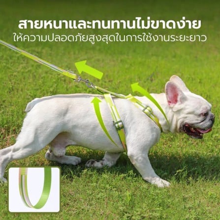 สายจูง TIANYUAN PET SRY0062 -XL สีเขียว_7