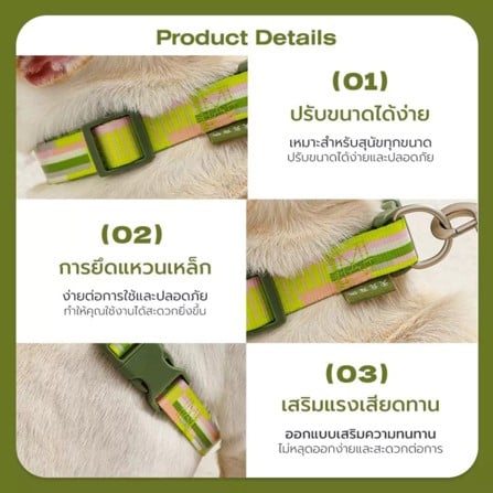 สายจูง TIANYUAN PET SRY0062 -XL สีเขียว_8