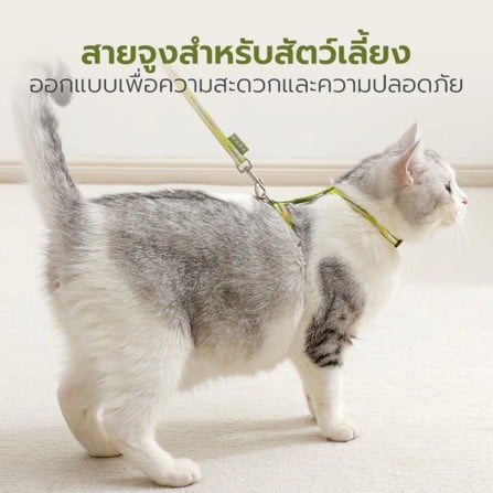 สายจูงรัดอก TIANYUAN PET SRY0065 สีเขียว_1