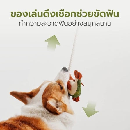 ของเล่นสุนัข TIANYUAN PET STR0406 รูปปลาหมึก_5