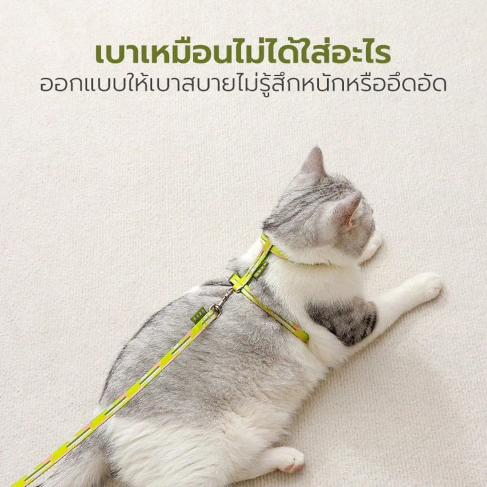 สายจูง TIANYUAN PET SRY0064 สีเขียว