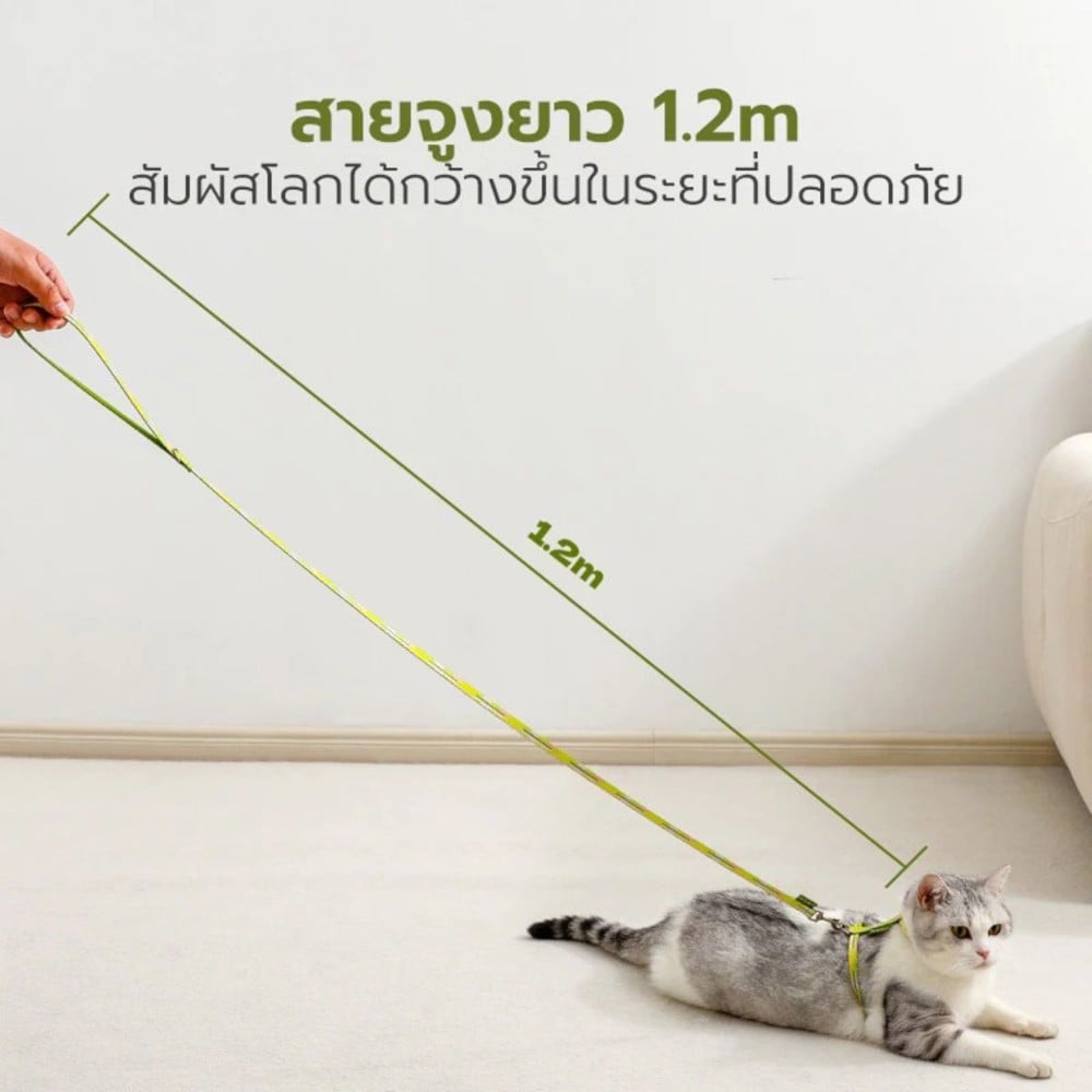 สายจูง TIANYUAN PET SRY0064 สีเขียว